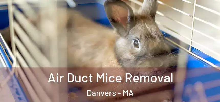 Air Duct Mice Removal Danvers - MA