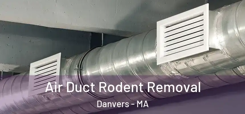 Air Duct Rodent Removal Danvers - MA