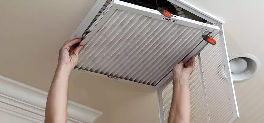 Preventive Cockroach-Proofing for Ducts in Danvers