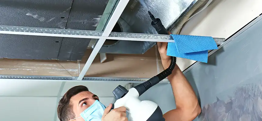 Our Air Duct Rodent Removal Services in Danvers, MA
