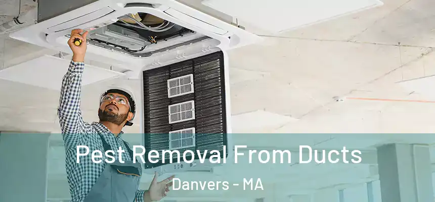 Pest Removal From Ducts Danvers - MA