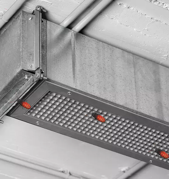 About Air Duct Cockroach Removal in Danvers, MA