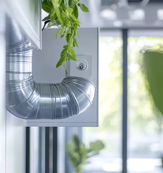 Professional Eco-Safe Dryer Vent Cleaning in Danvers, MA