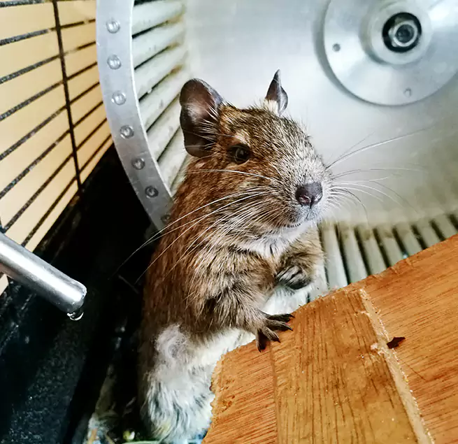 Why Homeowners & Businesses Trust Us Danvers, MA