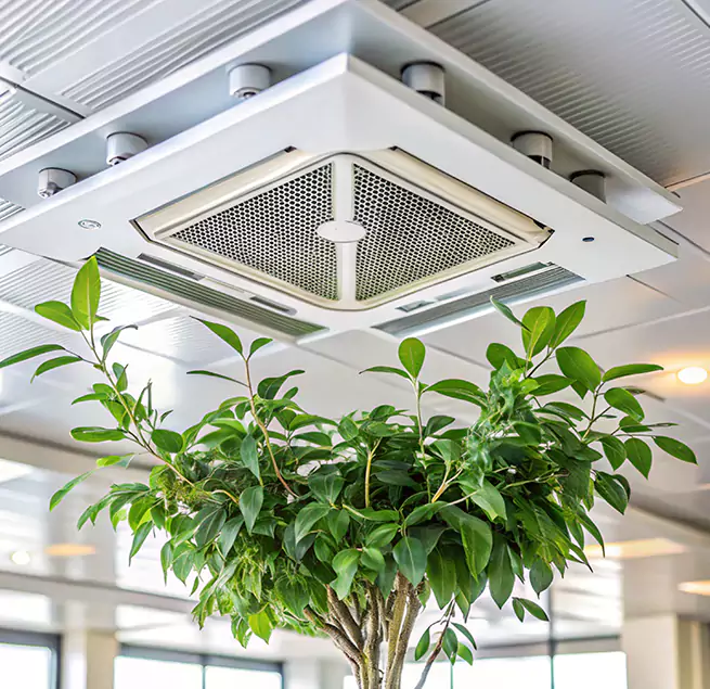 Why Homeowners & Businesses Trust Us in Danvers, MA?