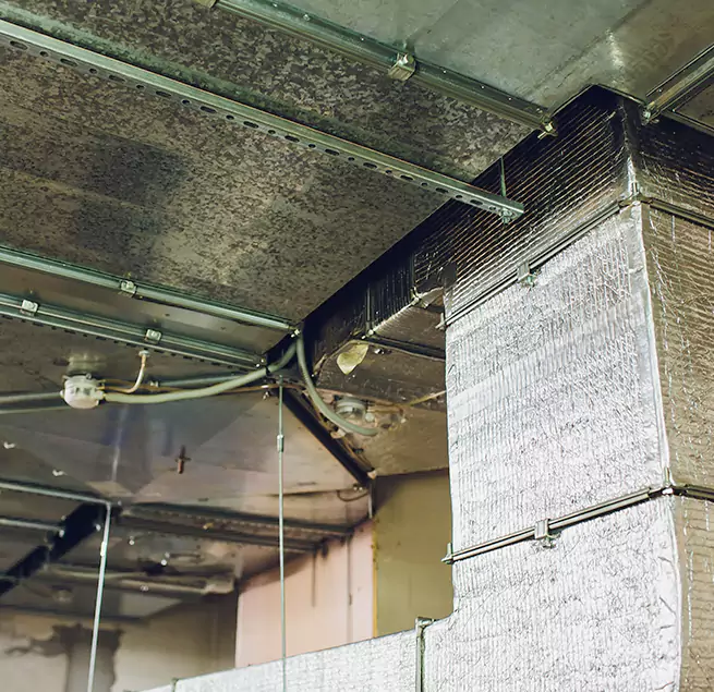 Why Homeowners & Businesses Trust Us in Danvers, MA?